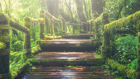 國務院辦公廳發文力推“無廢城市”