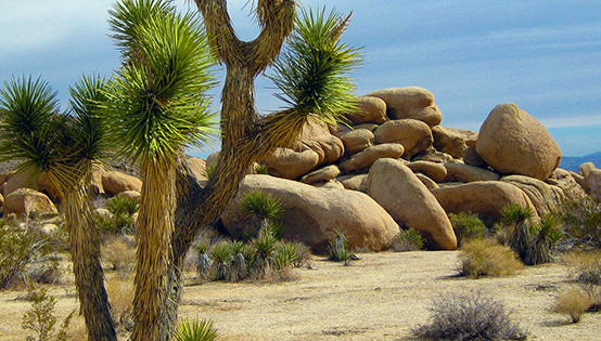 監管放松：NO,取消環評資質，是規則的改變！