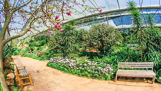 我國環(huán)境治理過高，依賴行政手段，缺少市場化調(diào)節(jié)