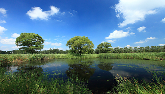 2018污泥產業多維盤點