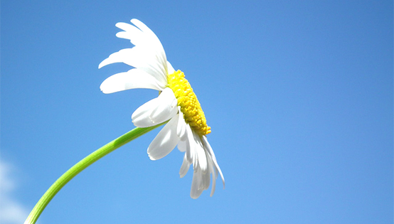 北京市住房城鄉(xiāng)建設(shè)系統(tǒng)打贏藍(lán)天保衛(wèi)戰(zhàn)2019年行動(dòng)計(jì)劃實(shí)施