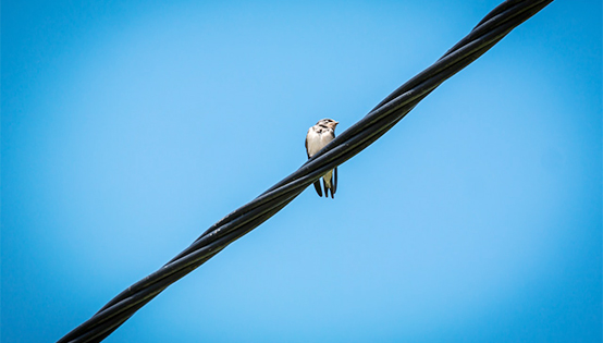 固定污染源廢氣 非甲烷總烴排放連續監測技術指南（試行）