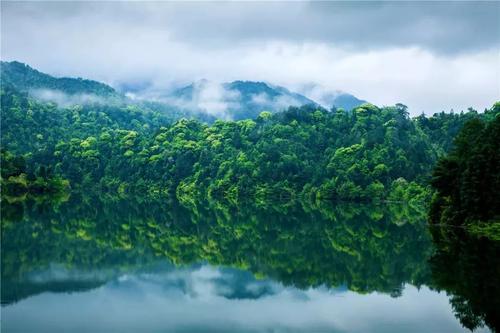 2021年江西省生態(tài)環(huán)境保護(hù)工作會(huì)議召開(kāi)