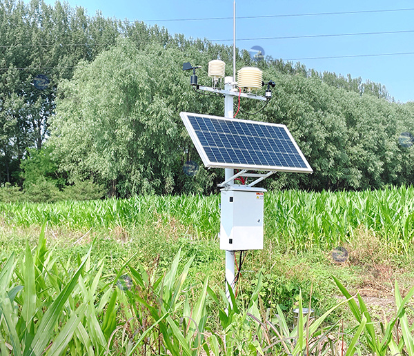 某農業大學-農業氣象站科研專業環境站 農田科研氣象站