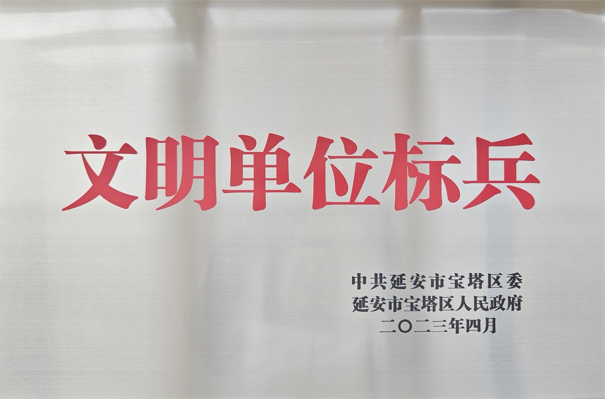 榮譽(yù)獎(jiǎng)牌.jpg